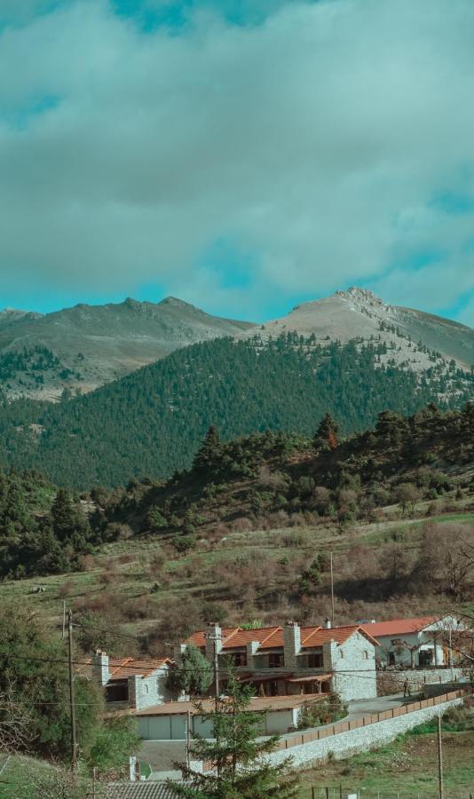Appartamento Mezonetes Helmos Ano Lousoi Esterno foto