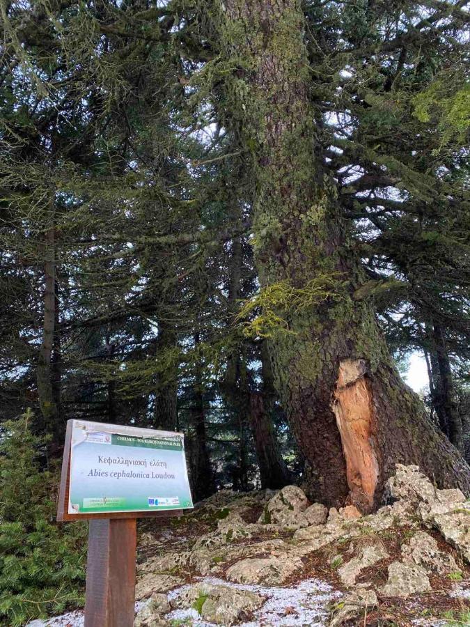 Appartamento Mezonetes Helmos Ano Lousoi Esterno foto