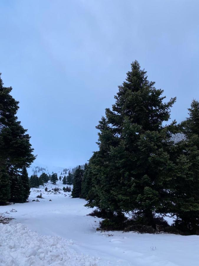 Appartamento Mezonetes Helmos Ano Lousoi Esterno foto