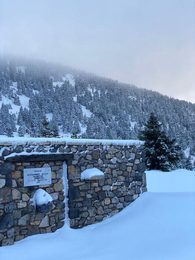 Appartamento Mezonetes Helmos Ano Lousoi Esterno foto